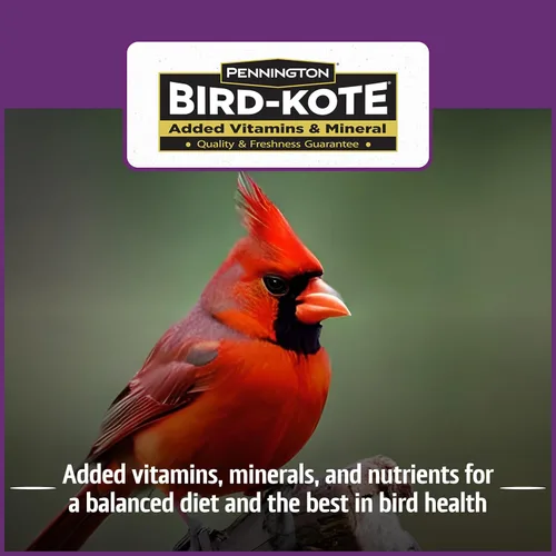 Vista 6 de Pennington Pride Songbird - Mezcla de frutos secos y frutas, semillas de aves silvestres para comederos exteriores, fórmula nutricional avanzada