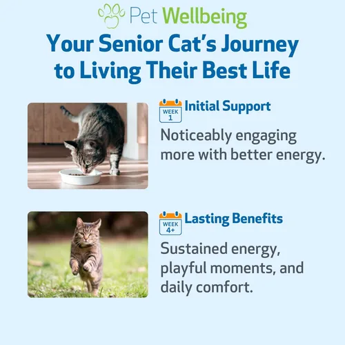 Vista 9 de Pet Wellbeing Old Friend for Senior Cats – Apoya la salud del sistema inmunológico, la movilidad de las articulaciones, los niveles de energía