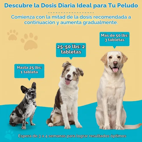 Vista 5 de Wanderfound Pets Multivitamínico 10 en 1 para perros, vitaminas diarias con glucosamina, MSM, probióticos y vitamina D3, sabor a hígado, 60 tabletas