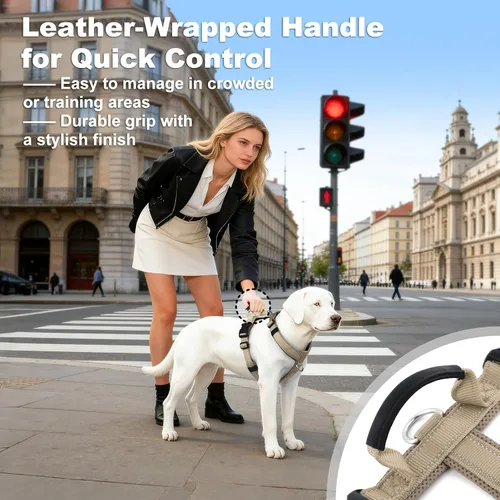 Vista 5 de Arnés Anti-Tirones para Perros con Asa, Malla Suave Acolchada Ajustable para Perros Pequeños, Medianos y Grandes Arnés Reflectante de Paseo Fácil