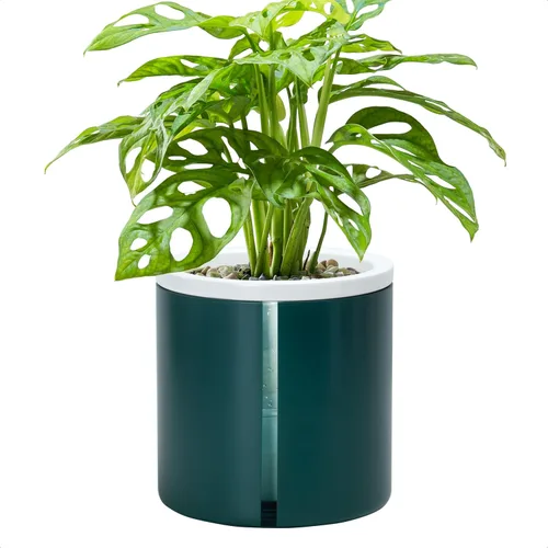 Vista 9 de D'vine Dev - Maceta de terracota negra con riego automático, 4 pulgadas, 37-X-A-3
