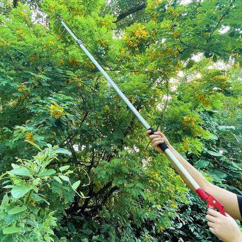 Vista 7 de Podadora telescópica de árbol de 5.8 a 10 pies con 2 secciones, 4 nodos ajustables, podadora de corte y sujeción, sierra de poste extensible