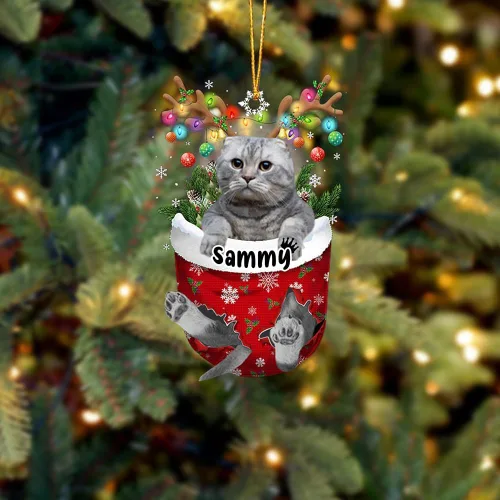 Vista 25 de Adorno personalizado de gato de rizo americano, adorno personalizado con nombre de mascota, colgante acrílico plano impreso en 2D, Papá Noel y gato