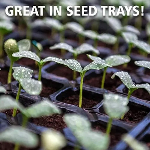 Vista 4 de Coast of Maine Organic & Natural Sprout Island Blend Seed Starter - Seed Germination & Root Plant Cuttings w/Composted Manure, Mycorrhizae, Worm