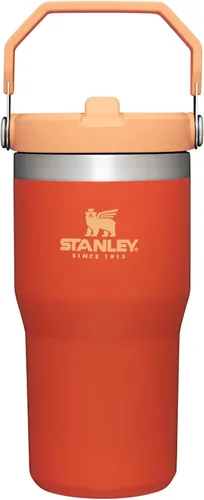 Vista 134 de STANLEY IceFlow 2.0 - Vaso con pajilla abatible con asa, 30 onzas, tapa giratoria y popote abatible, botella de agua a prueba de fugas, acero Tiza