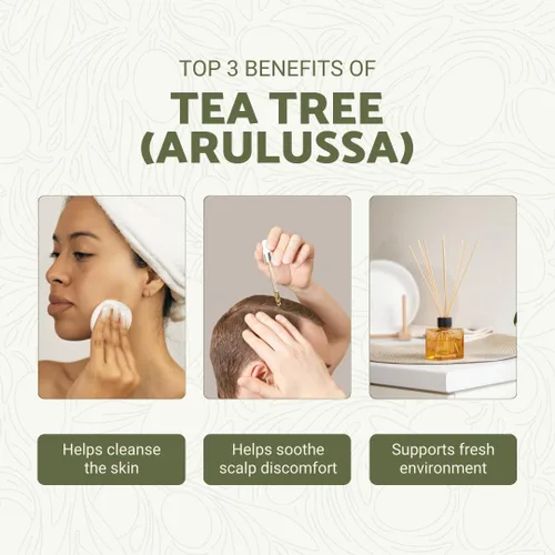 Vista 2 de Aceite esencial de árbol de té, directo de Arulussa Farm Zambia, destilado al vapor, aceite esencial de árbol de té para aromaterapia, masaje