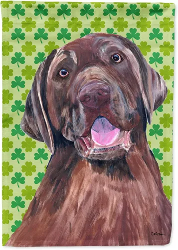Vista 11 de Caroline's Treasures SS4442GF Affenpinscher Bandera de jardín con retrato de trébol del día de San Patricio para buzón, bandera decorativa