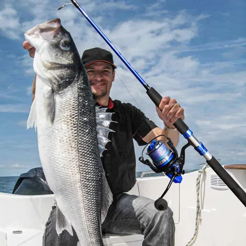 Vista 7 de Sougayilang Caña de pescar para bagre, 2 piezas de caña de pescar portátil de viaje MH/H/EH Power Caña de pesca de gato para spinning y casting