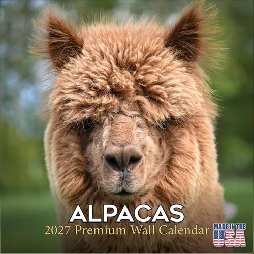 Vista 425 de Calendario de grises africanos 2025 2026 – Planificador mensual de pared de aves africanas – 12 x 18 pulgadas (abierto), calendario de pared