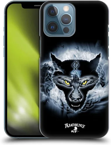 Vista 13 de Head Case Designs Officially Licensed Alchemy Gothic Black Romance Wing Hard Back Case Compatible with Apple iPhone 13 Pro Max