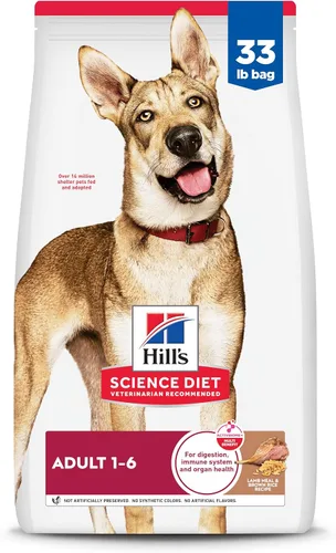 Vista 17 de Hill's Science Diet - Alimento seco para perros adultos 1-6, Nutrición Premium para adultos 1-6, sin maíz, trigo ni soya, pollo y arroz integral