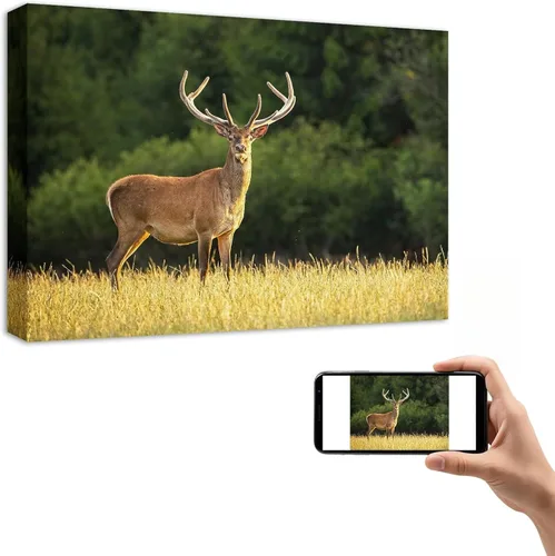 Vista 18 de YYYYHPP Impresiones en lienzo con tus fotos, arte de pared personalizado de foto a lienzo, impresión en lienzo para boda, familia, bebé, mascotas