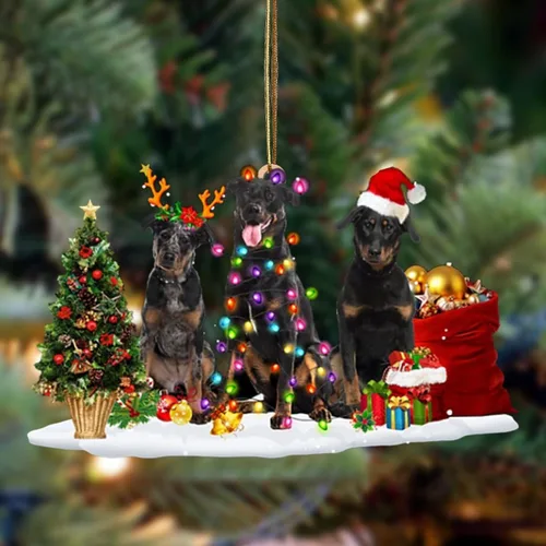 Vista 98 de Nazenti Adorno de Navidad personalizado con amigos Affenpinscher – Adorno de perro personalizado para amantes de las mascotas, acrílico plano