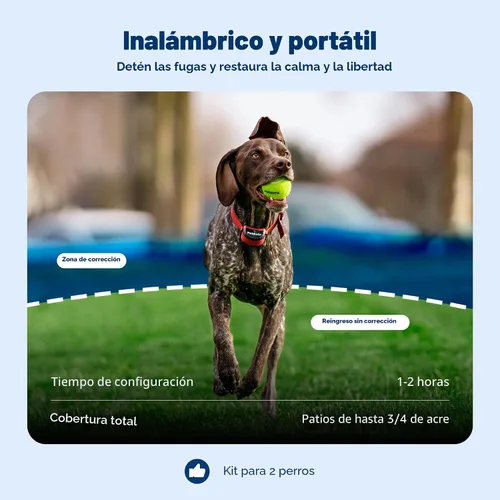 Vista 3 de PetSafe Stay & Play - Valla inalámbrica para 2 perros obstinados - Sistema inalámbrico de contención de mascotas más seguro de Estados Unidos