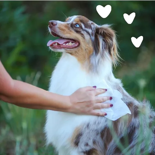 Vista 7 de Earthbath Toallitas para aseo de perros - Toallitas para perros para patas y trasero, Toallitas para mascotas para perros y gatos, ayuda para pieles