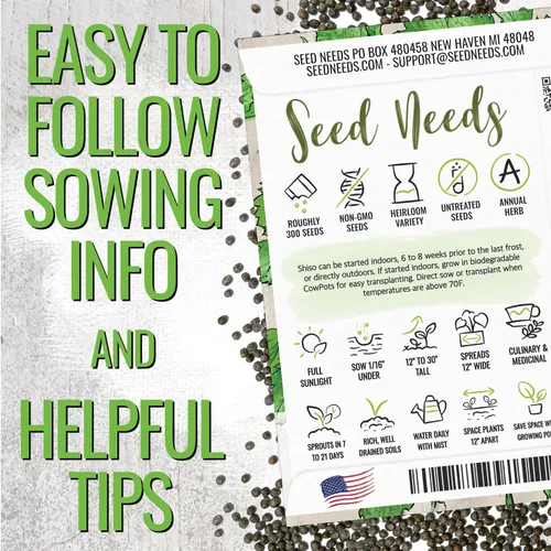 Vista 4 de Seed Needs Green Shiso Seeds to Plant Heirloom Perilla No GMO 5 paquetes