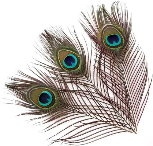 Vista 14 de Shekyeon Centro de mesa de boda de plumas de pavo real teñido de plumas blanqueadas de 10 a 12 pulgadas, paquete de 10 (negro)