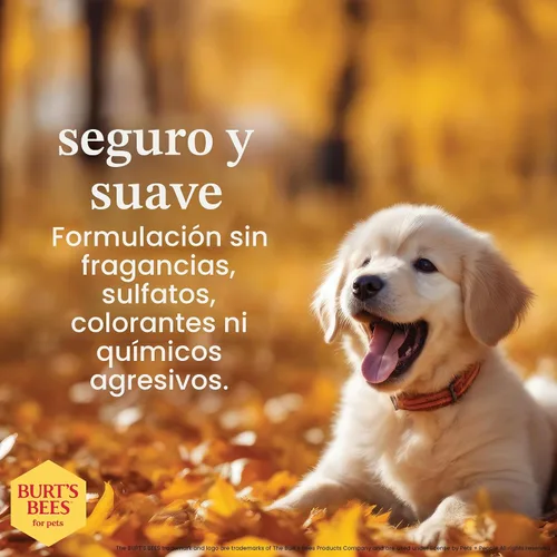 Vista 5 de Champú 2 en 1 Burts Bees para perrito, no irrita los ojos, paquete de de 1