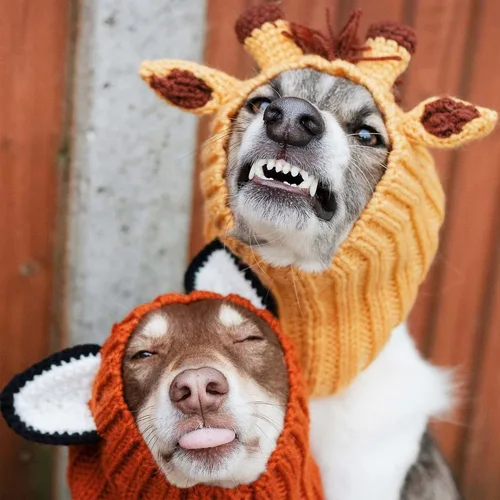 Vista 9 de Zoo Snoods Vestido de Jirafa - Redecilla tejida para perros con cubreorejas para mascotas, cubierta cálida para el cuello para Halloween e invierno