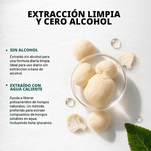 Vista 8 de Cápsulas de suplemento de melena de leones, melena de león orgánica 1200 mg, 120 cápsulas veganas