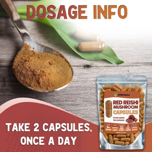 Vista 5 de XPRS Nutra Cápsulas de hongos Reishi – 180 cápsulas de hongos Reishi rojos – 3 meses de suministro de hongos reales suplementos píldoras