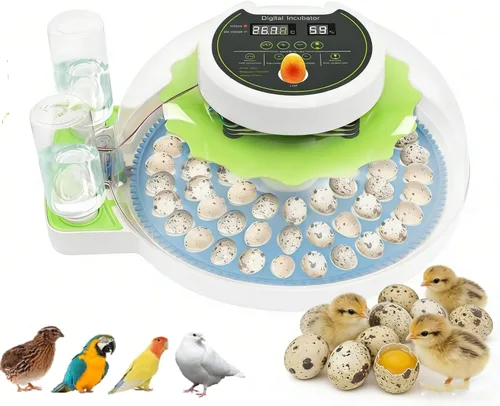 Vista 10 de Incubadora de huevos de codorniz para incubar 33 huevos de codorniz con girador automático y control de humedad, criador de codornices pequeñas