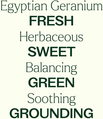 Vista 3 de Plant Therapy Aceite esencial de geranio egipcio orgánico 100% puro, certificado por USDA, orgánico, sin diluir, aromaterapia natural, grado