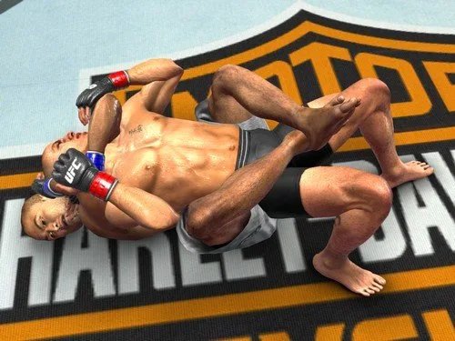 Vista 14 de UFC Undisputed 2009 - Xbox 360