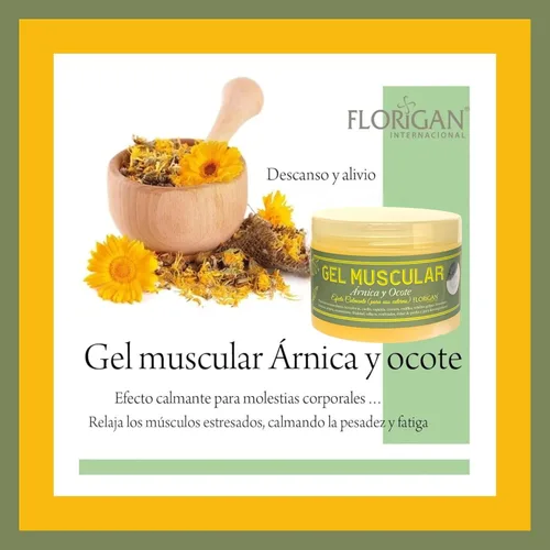Vista 5 de Gel muscular con extractos de manzanilla y pino Ocote 350grs. (1 unidad)
