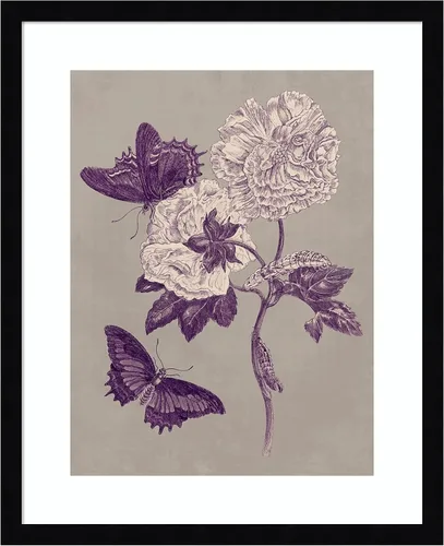Vista 10 de Amanti Art Lienzo decorativo para pared, 24 x 20 pulgadas, estudio de la naturaleza en ciruela y gris pardo IV por Maria Merian, arte de pared