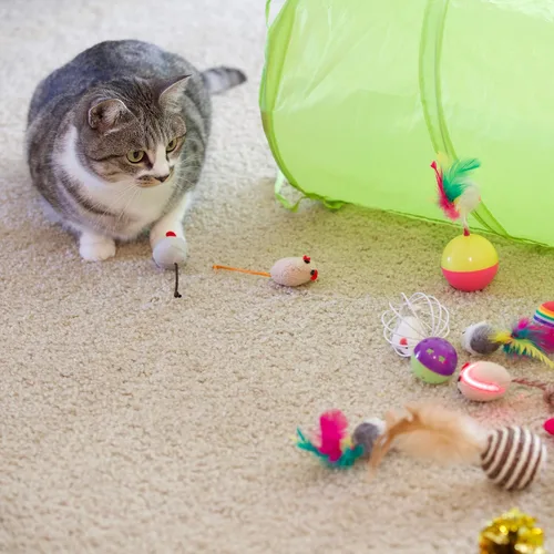 Vista 6 de Youngever 24 juguetes para gatos juguetes surtidos, túnel de 2 vías, plumas para gatos – juguete interactivo de plumas esponjoso ratón, pelotas