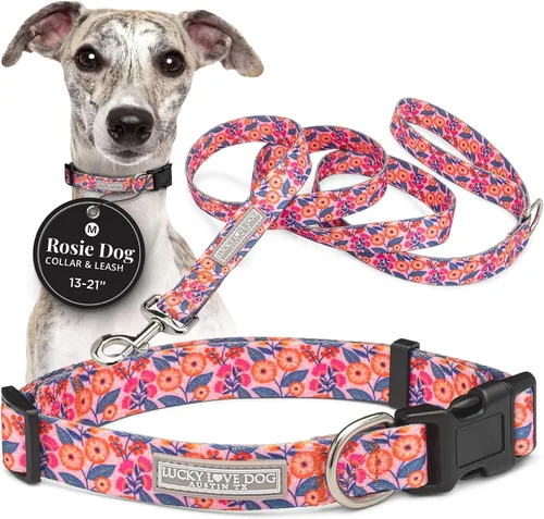 Vista 52 de Lucky Love Dog - Collar para perras pequeñas, diseño Blackbird de estampado alegre con flores de primavera y verano, talla XS Collar Blackbird