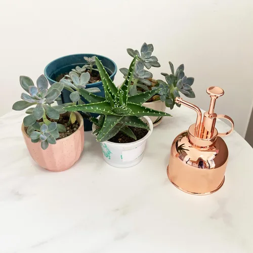 Vista 4 de Rociador de Plantas Botella Pulverizadora de Acero Inoxidable Pulverizador de Plantas, Regadera Pequeña Botella Rociadora de Plantas Herramientas