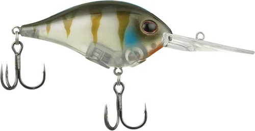 Vista 63 de Berkley Señuelo Duro de Pesca Dime