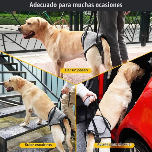 Vista 6 de Arnés de elevación para perros, arnés de soporte para patas traseras, arnés de soporte trasero ajustable, color gris, pequeño