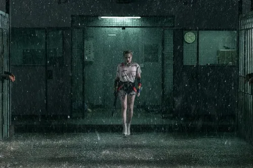 Vista 10 de Birds of Prey The Emancipation of Harley Quinn