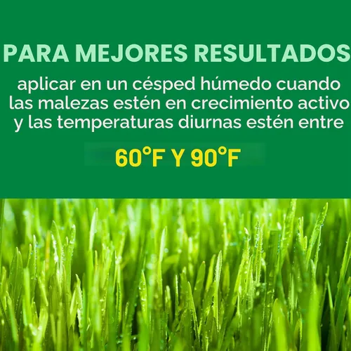 Vista 7 de Scotts Turf Builder Weed and Feed5, Fertilizante y alimento para césped, matamalas hierbas plus, controla dientes de león y trébol, 4,000 pies
