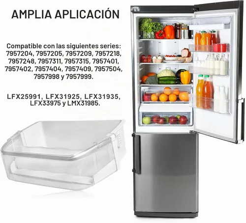 Vista 6 de AAP73252209 AAP73252202 - Repuesto de contenedor para puerta