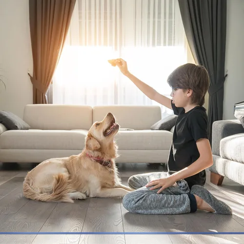Vista 3 de OXIGG Tapete grande transparente – Protector de piso de mascotas, protector de alfombra de plástico, tapete de vinilo – Ideal para suelos de madera