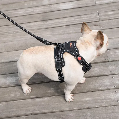Vista 5 de Coohom Arnés sin tirones para perro, con asa y dos accesorios para correa, arnés ajustable para mascotas al aire libre con material Oxford