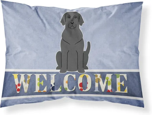 Vista 78 de Caroline's Treasures BB2515PILLOWCASE Between Friends Appenzeller Sennenhund - Funda de almohada de tela estándar, ligera, súper suave, fácil
