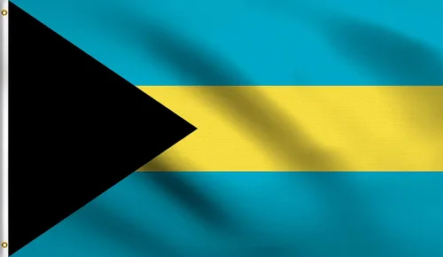 Vista 12 de DMSE - Bandera nacional beninesa beninesa de la República de África Occidental, 2 x 3 pies, 100 % poliéster, 100 % poliéster, resistente a los rayos