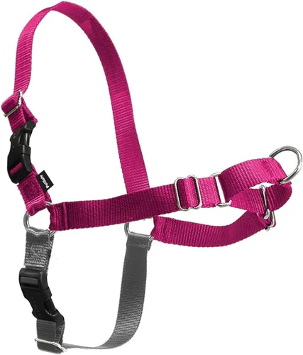 Vista 42 de Arnés de paseo fácil de PetSafe, Negro/Plateado