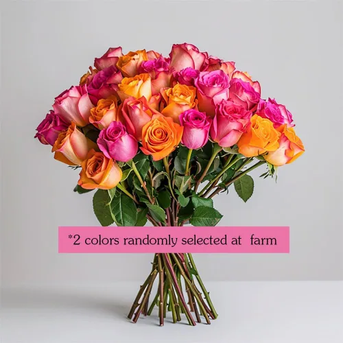 Vista 2 de GlobalRose Ramo de 50 rosas surtidas, rosas de origen responsable, flores frescas, ramo fresco de flores seleccionadas a mano para el día
