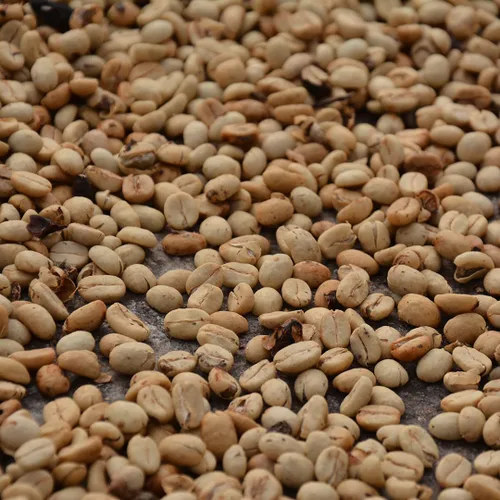 Vista 5 de Café oscuro medio, café en grano entero, 100% café arábica colombiano, café fresco, tostado medio oscuro (1 libra), Saxonville Mills Cafe