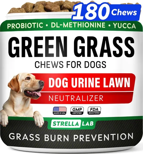Vista 18 de STRELLALAB - Masticables de soporte para glándulas anales para perros, tratamiento Scoot - Enzimas Soporte de glándula anal