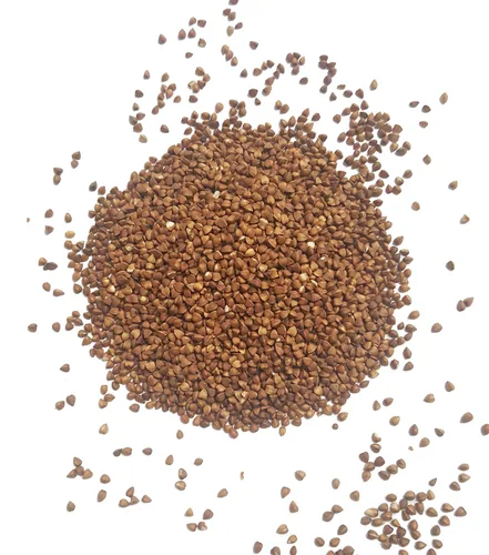 Vista 7 de Kasha de trigo sarraceno orgánico certificado, tostado, sin OMG, vegano, a granel (10 libras)