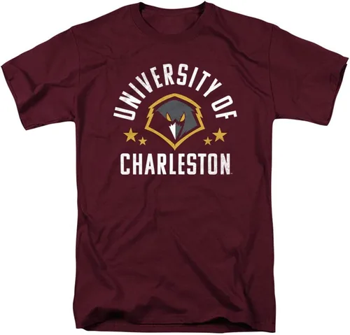 Vista 120 de Collegiate Distressed Mascot Unisex Adult T Shirt Collection 3 Universidad de Adelphi