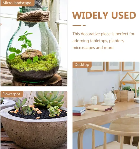 Vista 8 de HOMSFOU Retro Decor 3 piezas de cristal Cloche Bell Jar Display Dome con base de madera, mini botellas de vidrio, cúpula transparente, vitrina