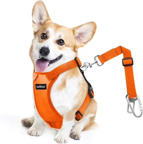 Vista 21 de cinturón de seguridad para perro, arnés de coche con peto de seguridad para perro con hebilla ajustable, cinturón de seguridad para vehículos